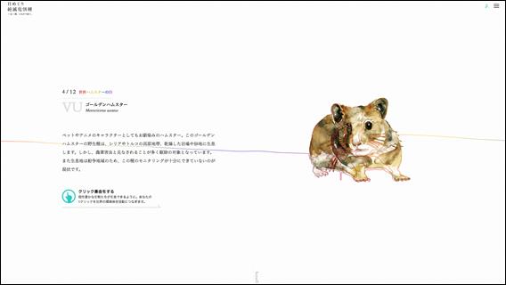 ユカタンの絶滅危惧動物 - ユカテカントゲトゲイグアナ (クテノサウラの擁護者)